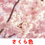 桜の季節！桜色について考える