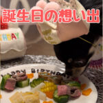 笑顔溢れる誕生日の想い出に寄り添うプレート