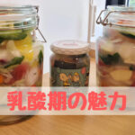 水キムチワークショップで感じた！乳酸菌の魅力