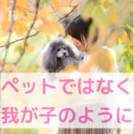 「愛情を形に」家族写真とわんちゃんごはんへの想い