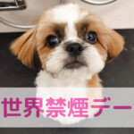 たばこは人だけじゃない！わんちゃんの健康にも影響が