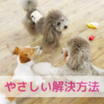 手作りごはんを迷ってるあなたへ —不安の正体とやさしい解決法