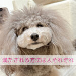 わんちゃんのごはんの時間がくれる幸せの循環