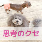 思考のクセとわんちゃんのごはんとの関係