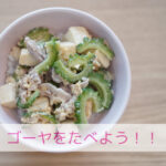 わんちゃんがゴーヤ好きってほんと？５月８日はゴーヤーの日