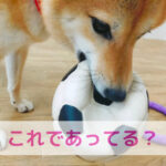 手作りごはんやってるけど…これでいいの？？そんなあなたへ