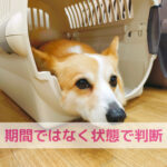 期間じゃなく“体の中”を見ることが大事なんです
