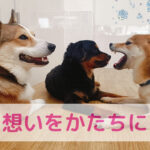 「あなたから学びたい」と思ってもらうために─見つけた“命の使い方”