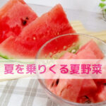 夏野菜でわんちゃんと元気に夏を乗りきろう