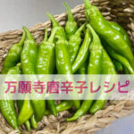 サラダ記念日に、わんちゃんと楽しむ万願寺唐辛子レシピ