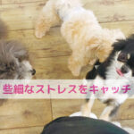 些細なストレスが教えてくれる大切な気づき