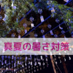 日傘が教えてくれた！わんちゃんを守るためにできること