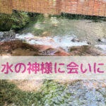 水の神様に会いに京都へ　貴船神社と上賀茂神社！わんちゃんの水分補給