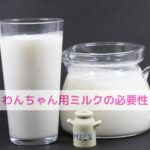 わんちゃん用ミルクって本当に必要？夏の水分補給におすすめか考えてみた話