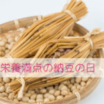 わんちゃんに納豆あげてもいい？ねばねばの栄養と工夫のお話