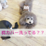 毎日顔をうずめてる場所！そこって清潔ですか？