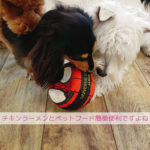 即席ラーメン誕生とペットフード普及！わんちゃんのごはんを考える日