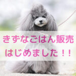もしもの時も安心🐶冷蔵・冷凍の“きずなごはん”はじめました