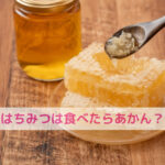 赤ちゃんにはNGなはちみつ！わんちゃんには？