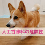 健康志向のつもりが逆効果？人工甘味料の真実