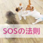 感情に振り回されないごはん選び