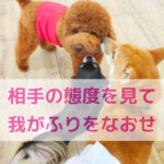 人もわんちゃんも心は映し鏡