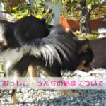 お水かけて終わり！！ほんまにそれでええの？