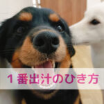 出汁をひく時間が心を整える時間になる