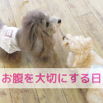 季節の変わり目にぴったり「おなかを大切にする日」