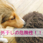 洗濯物にひそむ見えない危険