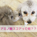 たまごってほんまにすごいんやで！！