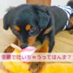 “空腹だから吐く”を信じていませんか？