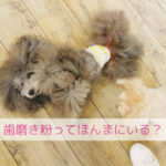 涙の原因が…まさか歯磨き粉？