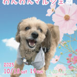 わんわんマルシェ出店します