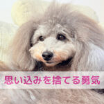 カリカリ問題の正体は“思い込み”やったかもしれへん