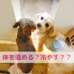 お鍋の日に体を温めるお肉と冷やすお肉の話