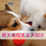 食べない悩みは“見える化”でほどける