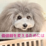 関わる人が変われば価値観も変わる