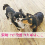 今までと違う一歩が涙焼け改善のカギになる