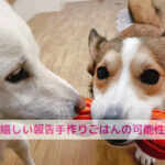 小麦メインのペットフードやった子がお鍋を楽しめるように