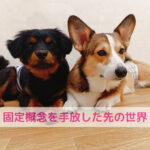 固定概念を外したらペットフードの意識が変わる