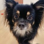 和食の日だからこそ伝えたい“手作りごはん”