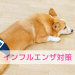 インフルエンザ対策は体のベースを整えて