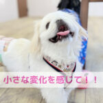 手作りごはんの小さな変化に気づいた日