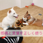 こんなに変わる涙焼け・よだれ焼け！！