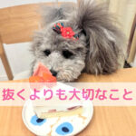 ４毒を抜くよりも大切にしたい健康法