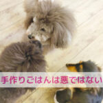 手作りごはんは電解質が不足するって本当？