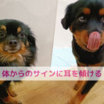 白い液体を吐くのは体からのサイン