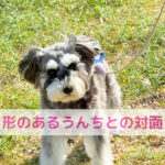 夢にまで見た“形のあるうんち”と対面できた