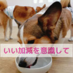 給食があるから大丈夫…ほんまに？